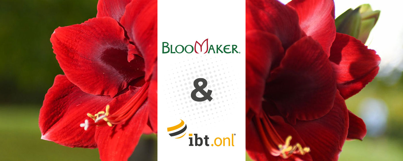 Bloomaker’s Marketing Success with IBT Online