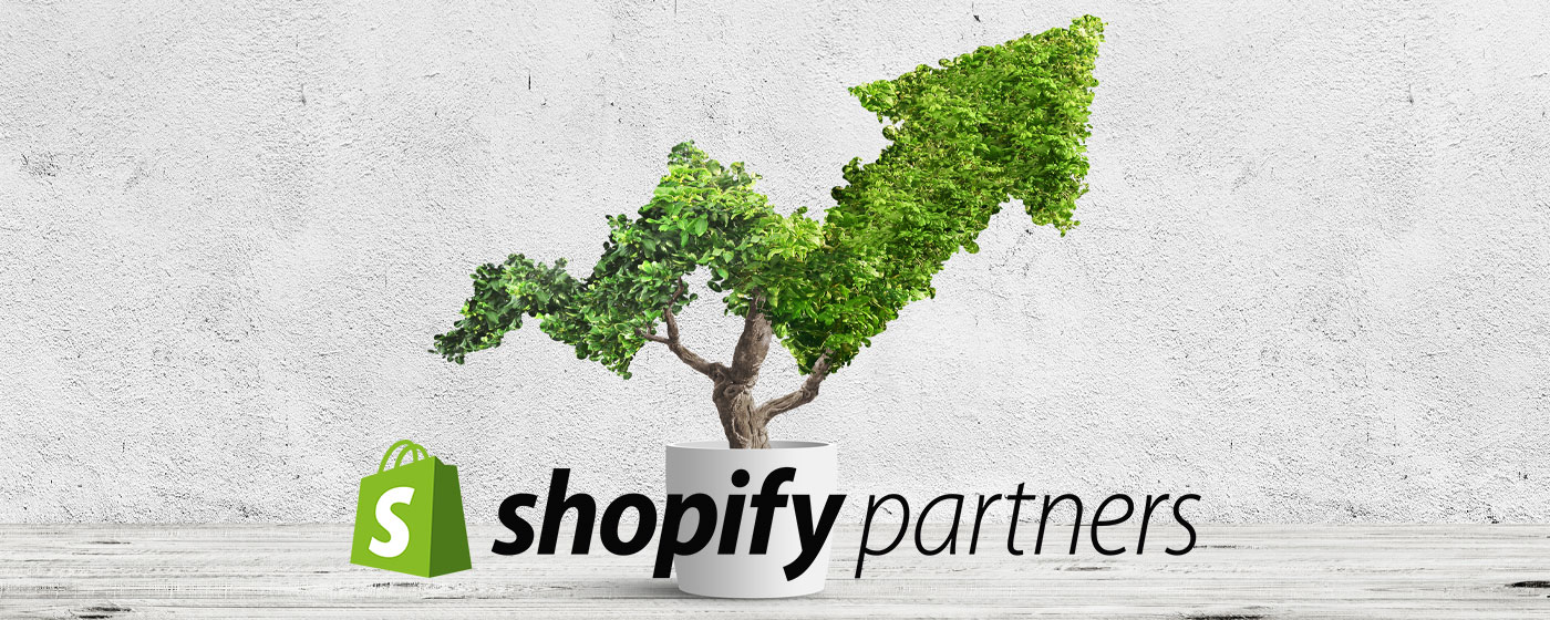 Shopify Business Growth