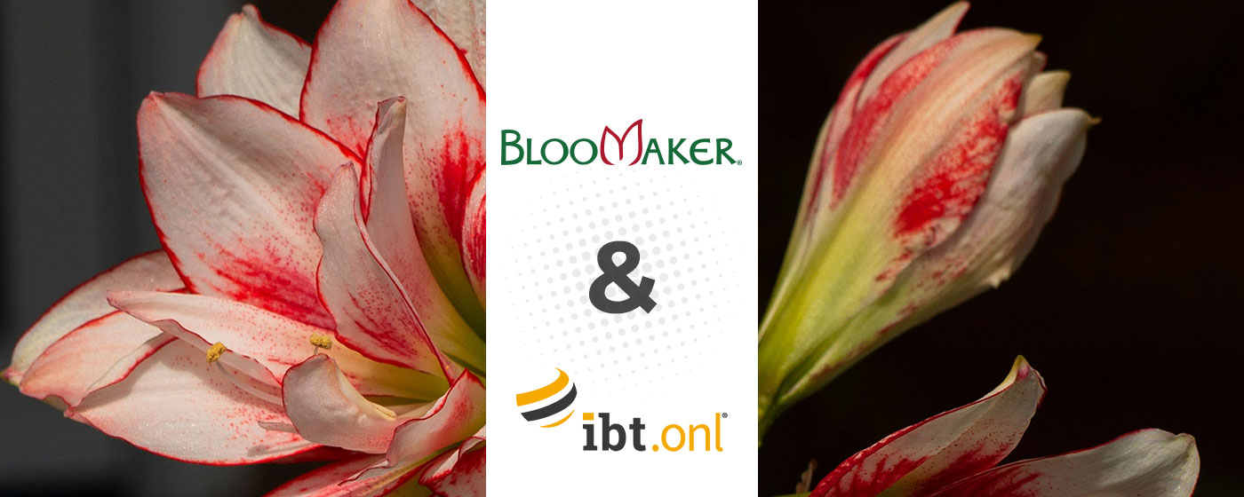 Bloomaker’s Success with IBT Online’s Video Production and Marketing