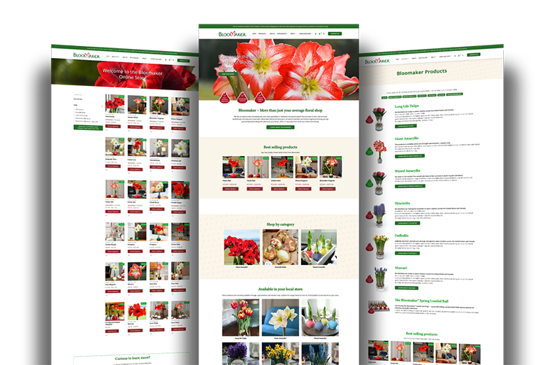 Bloomaker Case Study