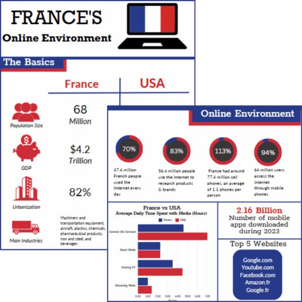 France's Online Environment Infographic