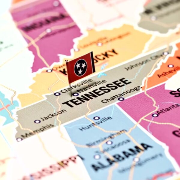 tennessee dec export council