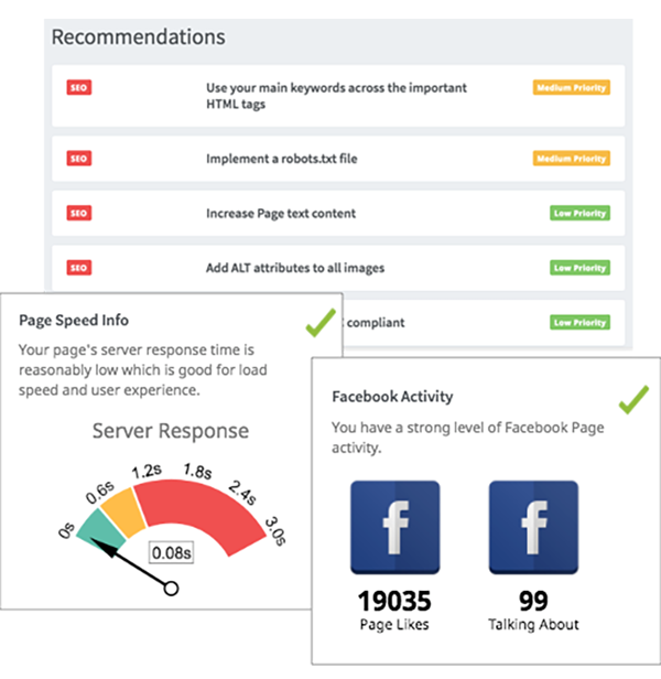 Sample image showing bespoke results and recommendations for page performance